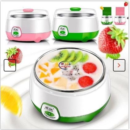 Electric Doi (Yogurt) Maker